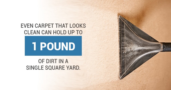 carpet shield